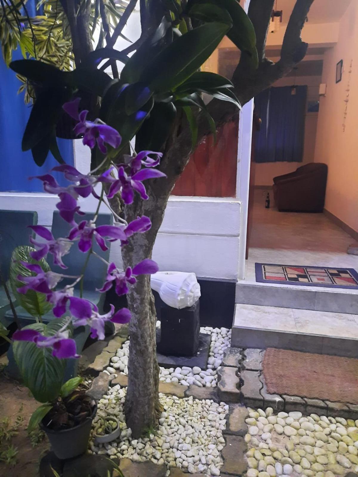 White Surfing Beach Resort อูนาวาตูนา ภายนอก รูปภาพ