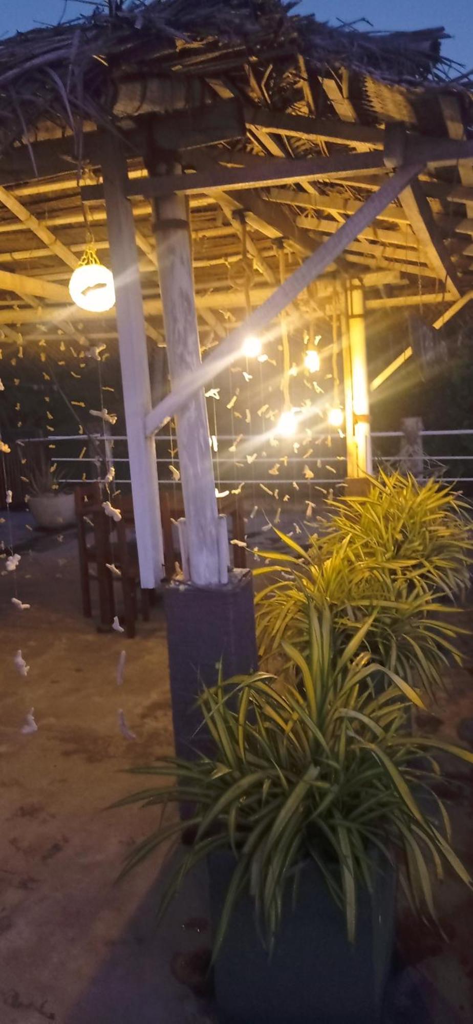 White Surfing Beach Resort อูนาวาตูนา ภายนอก รูปภาพ